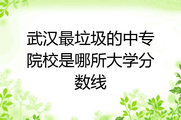 武汉最垃圾的中专院校是哪所大学分数线