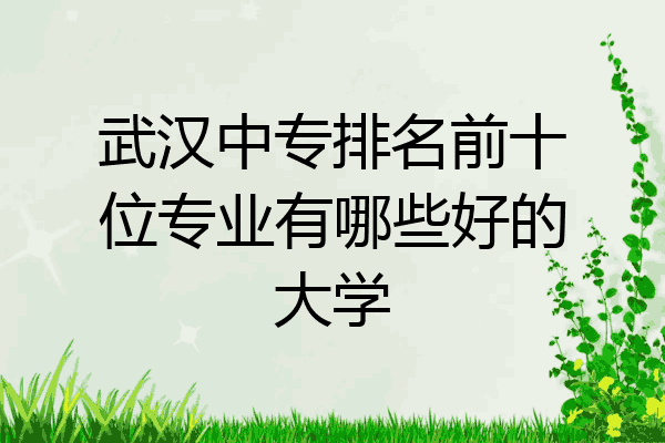 武汉中专排名前十位专业有哪些好的大学