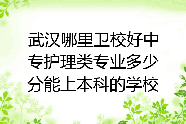 武汉哪里卫校好中专护理类专业多少分能上本科的学校