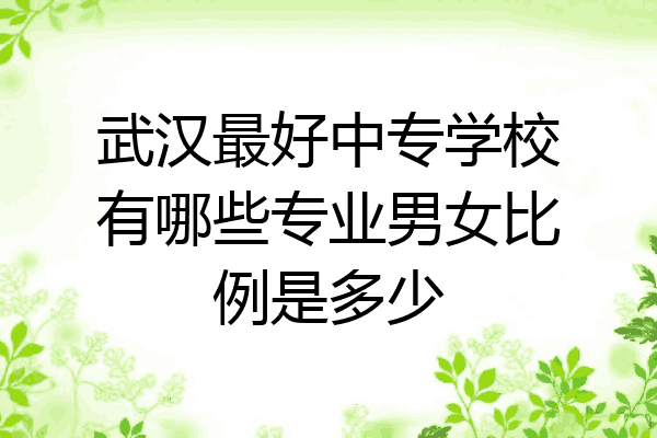 武汉最好中专学校有哪些专业男女比例是多少