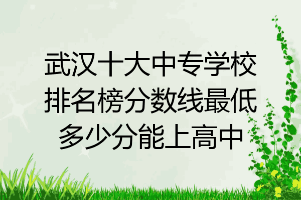 武汉十大中专学校排名榜分数线最低多少分能上高中