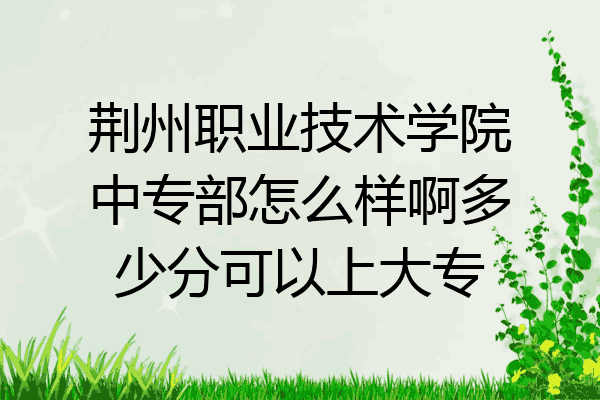 荆州职业技术学院中专部怎么样啊多少分可以上大专