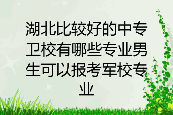 湖北比较好的中专卫校有哪些专业男生可以报考军校专业