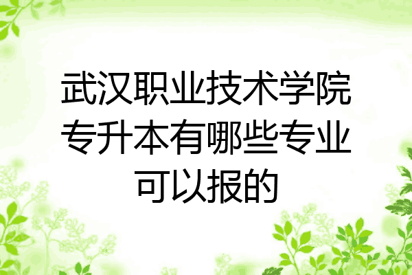 武汉职业技术学院专升本有哪些专业可以报的