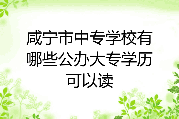 咸宁市中专学校有哪些公办大专学历可以读