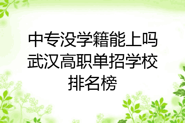 中专没学籍能上吗武汉高职单招学校排名榜