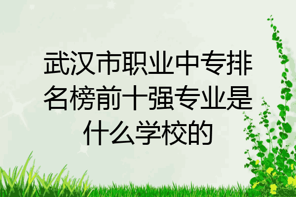 武汉市职业中专排名榜前十强专业是什么学校的