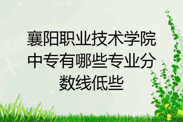 襄阳职业技术学院中专有哪些专业分数线低些
