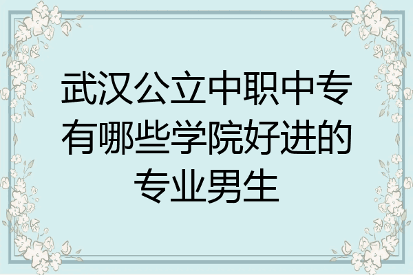 武汉公立中职中专有哪些学院好进的专业男生