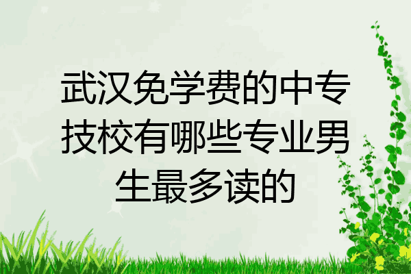 武汉免学费的中专技校有哪些专业男生最多读的