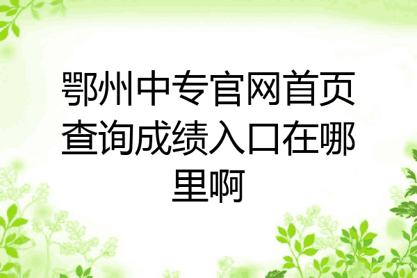 鄂州中专官网首页查询成绩入口在哪里啊