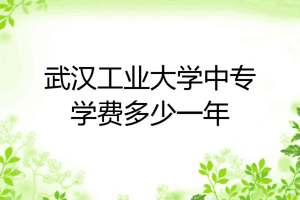 武汉工业大学中专学费多少一年