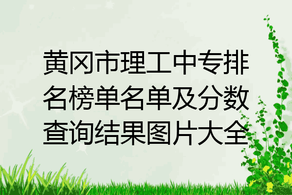 黄冈市理工中专排名榜单名单及分数查询结果图片大全