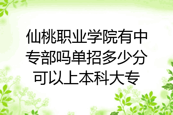 仙桃职业学院有中专部吗单招多少分可以上本科大专