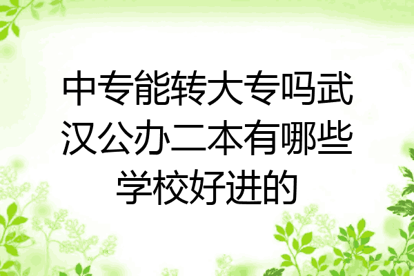 中专能转大专吗武汉公办二本有哪些学校好进的