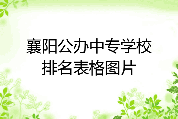 襄阳公办中专学校排名表格图片