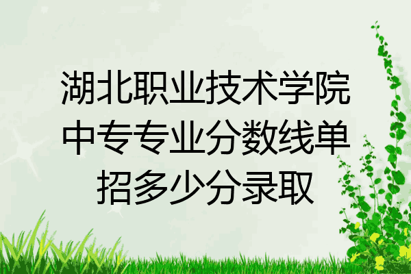湖北职业技术学院中专专业分数线单招多少分录取