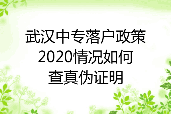 武汉中专落户政策2020情况如何查真伪证明