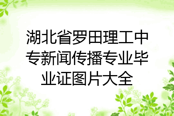 湖北省罗田理工中专新闻传播专业毕业证图片大全
