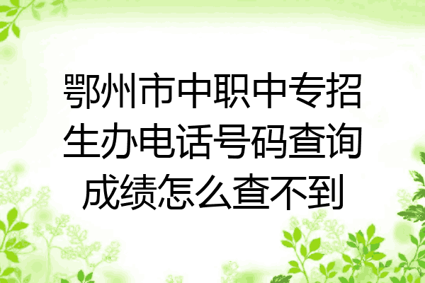 鄂州市中职中专招生办电话号码查询成绩怎么查不到