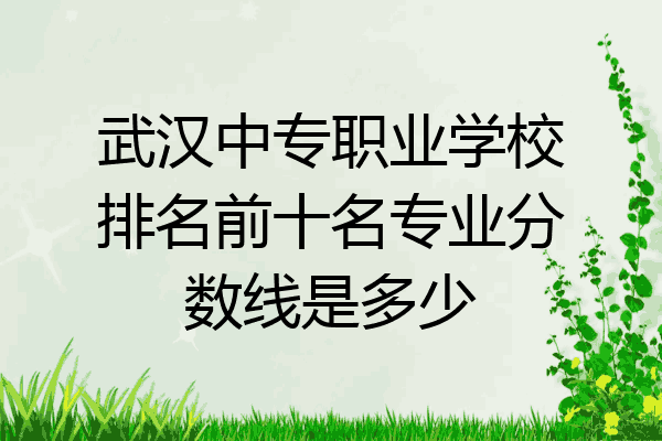 武汉中专职业学校排名前十名专业分数线是多少