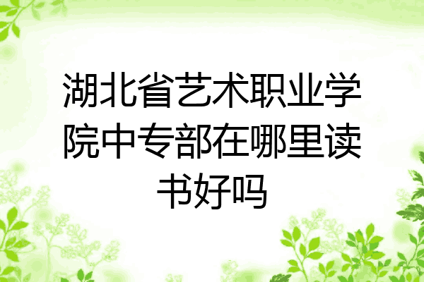湖北省艺术职业学院中专部在哪里读书好吗