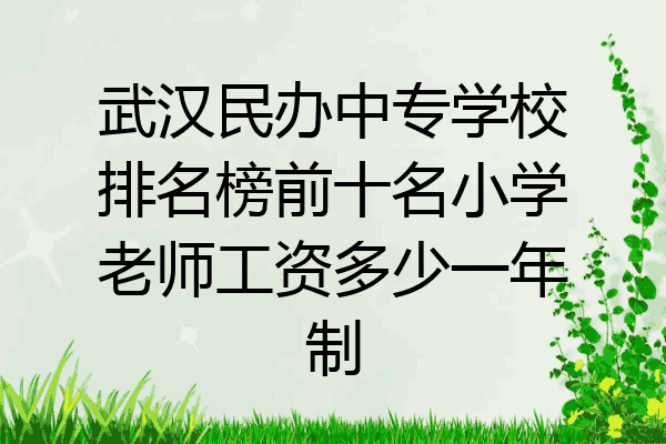 武汉民办中专学校排名榜前十名小学老师工资多少一年制