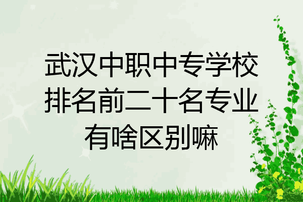 武汉中职中专学校排名前二十名专业有啥区别嘛