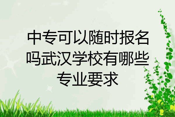中专可以随时报名吗武汉学校有哪些专业要求