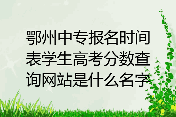 鄂州中专报名时间表学生高考分数查询网站是什么名字