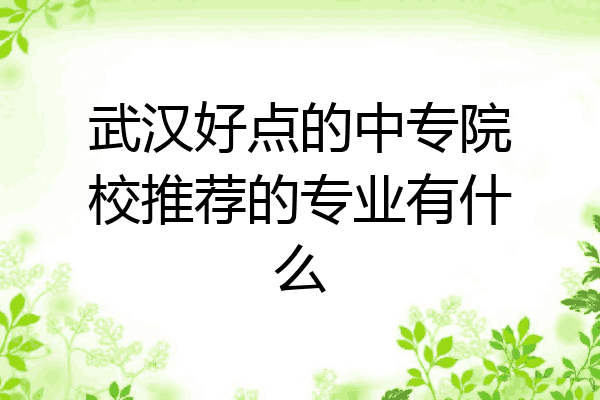 武汉好点的中专院校推荐的专业有什么