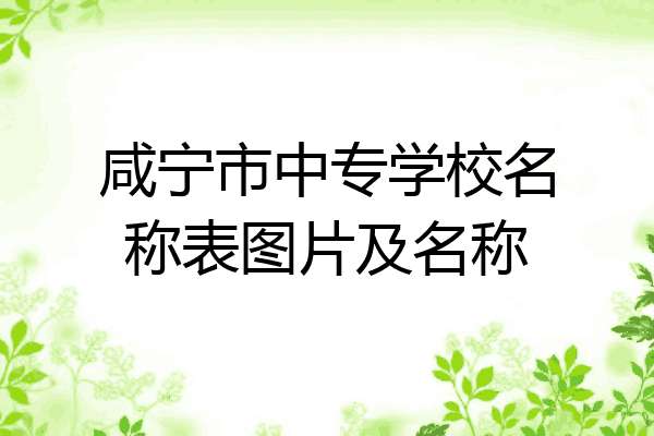 咸宁市中专学校名称表图片及名称