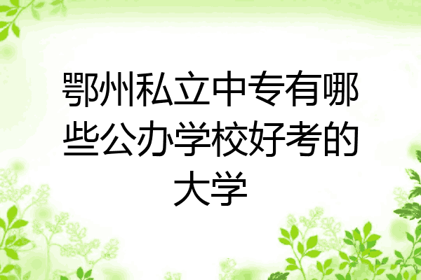 鄂州私立中专有哪些公办学校好考的大学