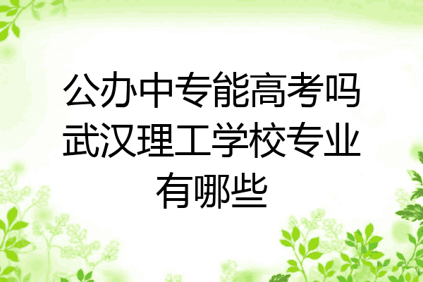 公办中专能高考吗武汉理工学校专业有哪些