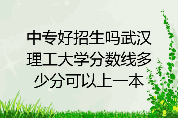 中专好招生吗武汉理工大学分数线多少分可以上一本