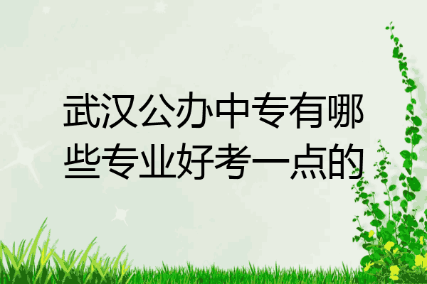 武汉公办中专有哪些专业好考一点的