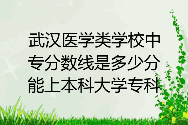 武汉医学类学校中专分数线是多少分能上本科大学专科