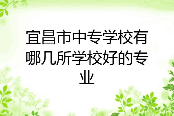 宜昌市中专学校有哪几所学校好的专业