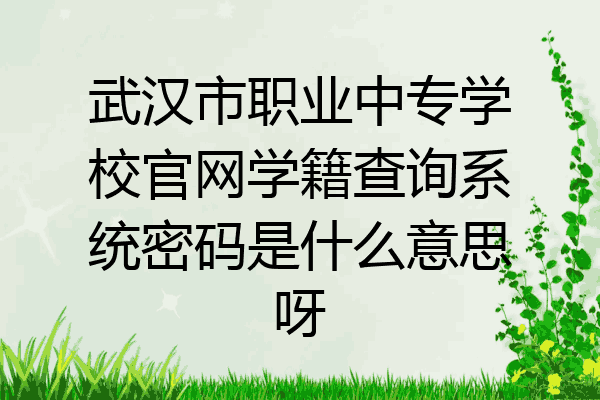 武汉市职业中专学校官网学籍查询系统密码是什么意思呀