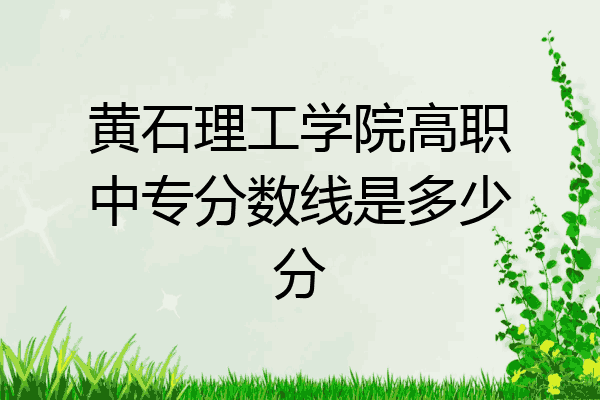 黄石理工学院高职中专分数线是多少分
