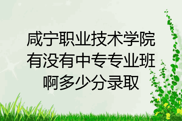 咸宁职业技术学院有没有中专专业班啊多少分录取