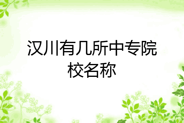 汉川有几所中专院校名称