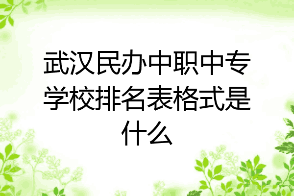 武汉民办中职中专学校排名表格式是什么
