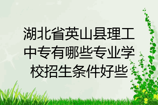湖北省英山县理工中专有哪些专业学校招生条件好些