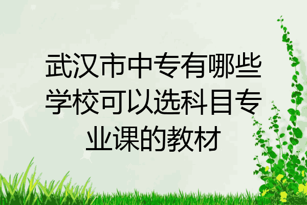 武汉市中专有哪些学校可以选科目专业课的教材