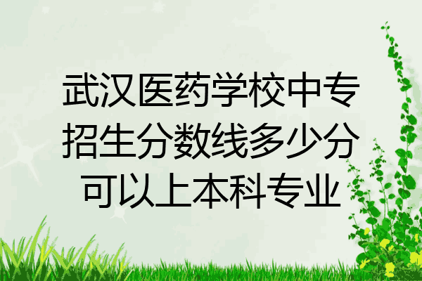 武汉医药学校中专招生分数线多少分可以上本科专业