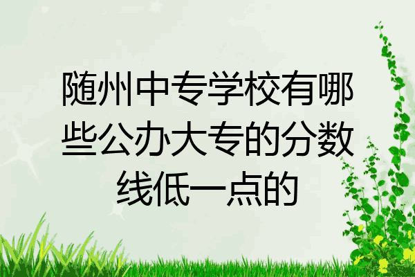 随州中专学校有哪些公办大专的分数线低一点的