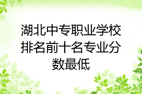 湖北中专职业学校排名前十名专业分数最低