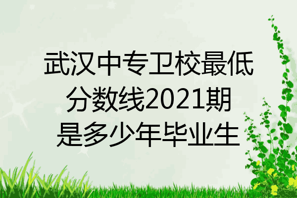 武汉中专卫校最低分数线2021期是多少年毕业生