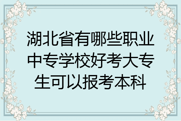 湖北省有哪些职业中专学校好考大专生可以报考本科